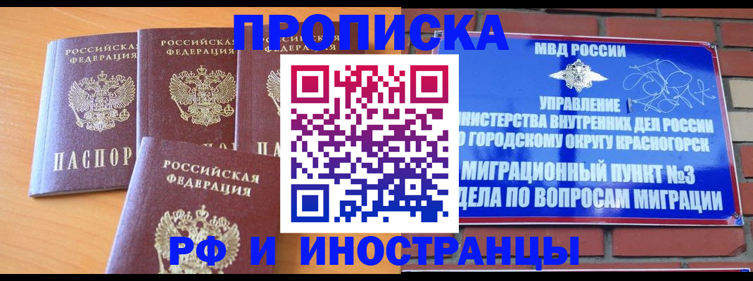 прописка гарантия в Щиграх